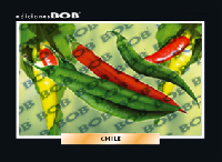 RV171 Chile (50 pzas)