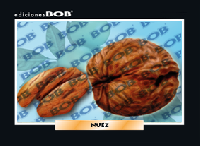 RV172 Nuez (50 pzas)