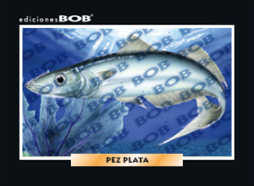 RV173 Pez plata (50 pzas)