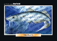 RV173 Pez plata (50 pzas)