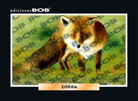 RV174 Zorra (50 pzas)