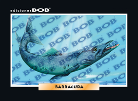 RV177 Barracuda (50 pzas)