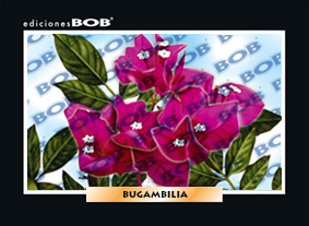 RV178 Bugambilia (50 pzas)