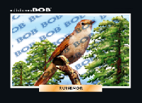 RV179 Ruiseñor (50 pzas)