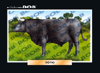 RV180 Toro (50 pzas)