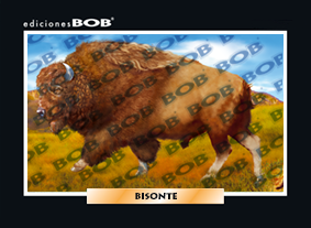 RV181 Bisonte / búfalo americano (50 pzas)