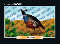 RV185 Codorniz (50 pzas)