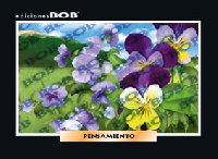 RV189 Pensamiento (50 pzas)