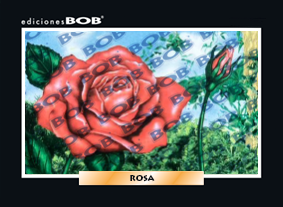 RV190 Rosa (50 pzas)