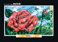 RV190 Rosa (50 pzas)