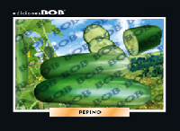 RV192 Pepino (50 pzas)