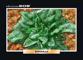 RV195 Espinaca (50 pzas)