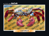 RV201 Cangrejo (50 pzas)