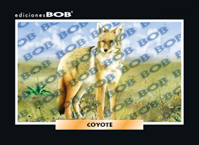 RV203 Coyote (50 pzas)