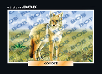 RV203 Coyote (50 pzas)