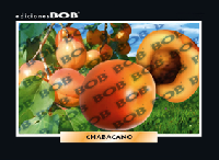 RV204 Chabacano (50 pzas)