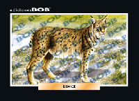 RV209 Lince (50 pzas)