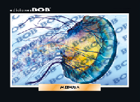 RV210 Medusa (50 pzas)