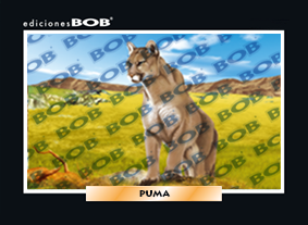 RV211 Puma americano (50 pzas)