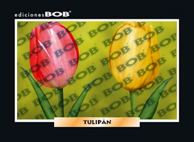RV214 Tulipán (50 pzas)
