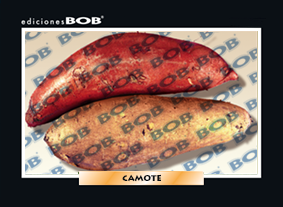 RV220 Camote (50 pzas)