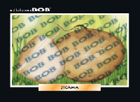 RV221 Jícama (50 pzas)