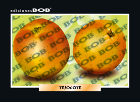 RV222 Tejocote (50 pzas)