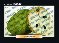 RV223 Chirimoya (50 pzas)