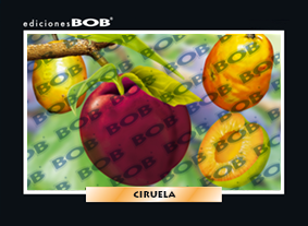 RV225 Ciruela (50 pzas)