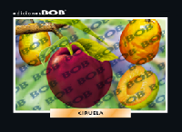 RV225 Ciruela (50 pzas)