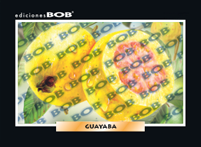 RV226 Guayaba (50 pzas)