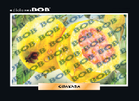 RV226 Guayaba (50 pzas)