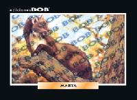 RV234 Marta (50 pzas)