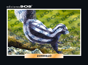 RV235 Zorrillo (50 pzas)