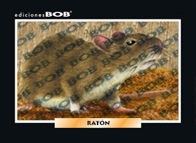 RV236 Ratón (50 pzas)