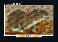 RV236 Ratón (50 pzas)