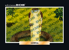 RV237 Cobra (50 pzas)