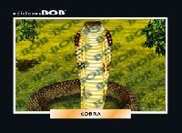 RV237 Cobra (50 pzas)