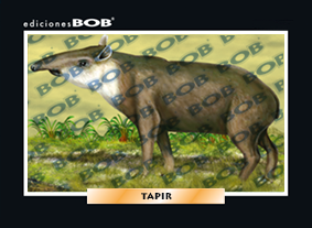 RV239 Tapir (50 pzas)