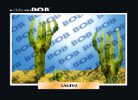 RV245 Cacto / cactus (50 pzas)