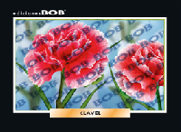 RV247 Clavel (50 pzas)