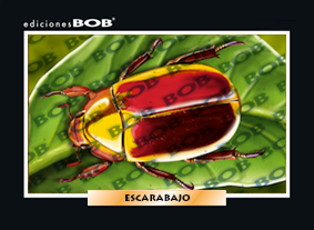 RV249 Escarabajo (50 pzas)