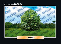 RV251 Fresno (50 pzas)