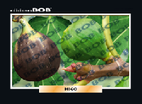 RV262 Higo (50 pzas)