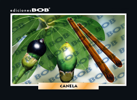 RV269 Canela (50 pzas)