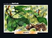 RV273 Clavo (50 pzas)