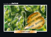 RV276 Garbanzo (50 pzas)