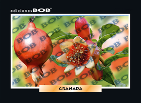 RV278 Granada (50 pzas)