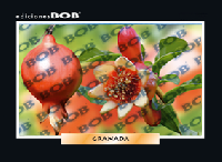 RV278 Granada (50 pzas)
