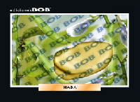 RV279 Haba (50 pzas)